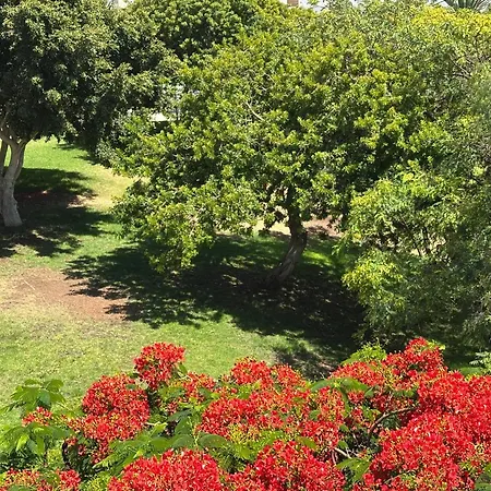 Brisas Seaview - Apartment Costa Adeje (Tenerife)