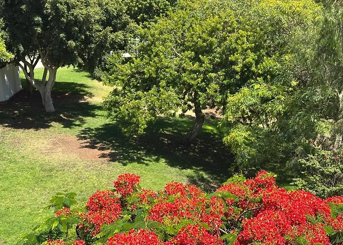 Brisas Seaview - Apartment Costa Adeje (Tenerife)